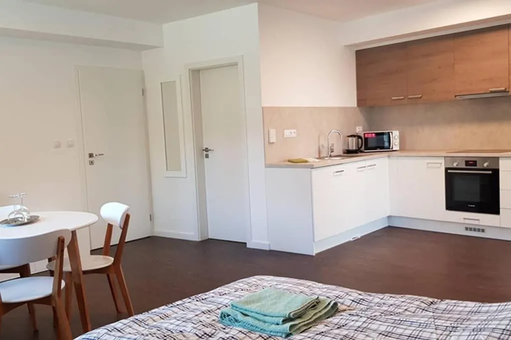 Suite With Back Garden Karlovy Vary